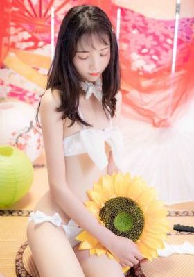 谜踪之国电视剧免费观看_1080P迅雷高清下载